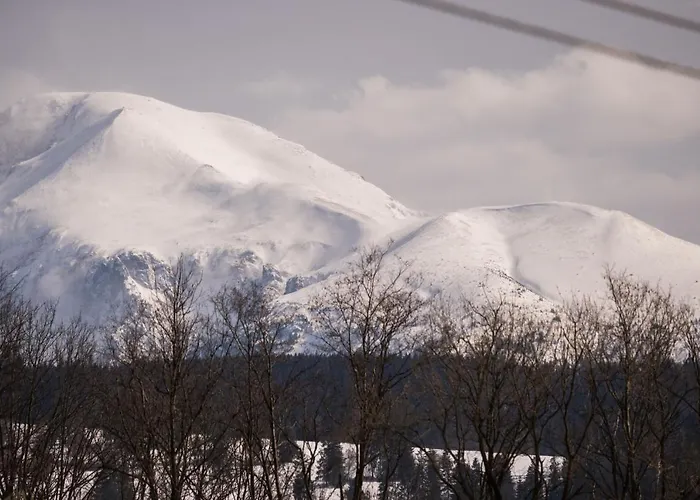 Nad Termami シャレー
